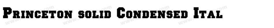 Princeton solid Condensed Italic字体转换